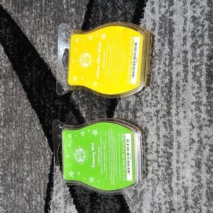 SCENTSY RETIRED AUTUMN BLAZE MAPLE & ROSEMARY MINT WAX BARS BUNDLE